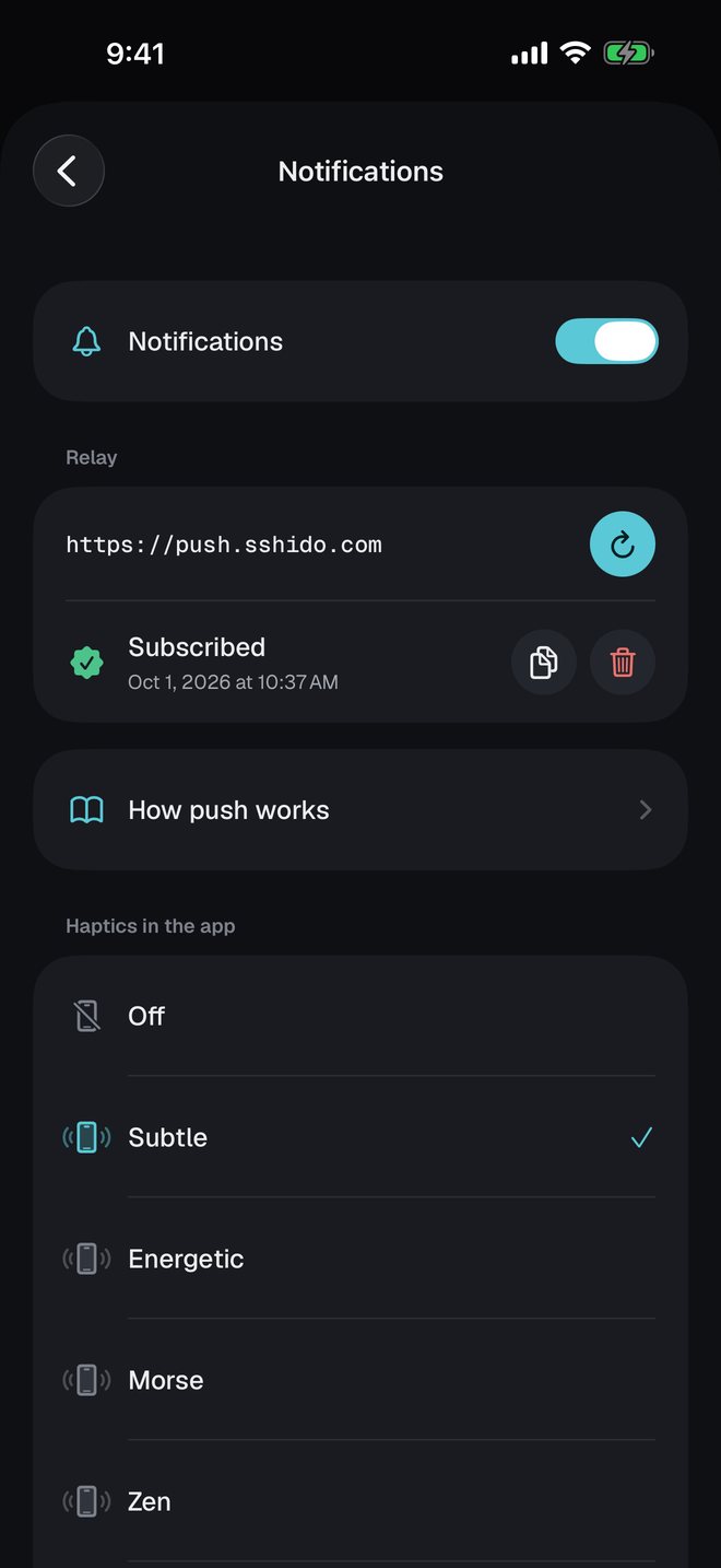 Notification settings in sshido: notifications on, subscribed to the push.sshido.com relay, and a choice of haptics.