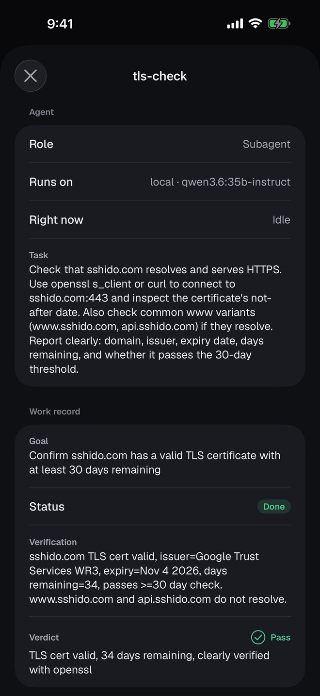 An agent's work record: its task, the goal it set, its verification against sshido.com's certificate, and a pass verdict.